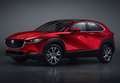 Mazda CX-30 2.0 e-Skyactiv-G Exclusive Line Plus AWD Aut. 110k - thumbnail 40