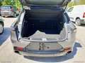 Alfa Romeo Tonale 1.6 diesel 130 CV TCT6 Sprint Grigio - thumbnail 9