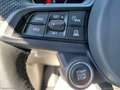 Alfa Romeo Tonale 1.6 diesel 130 CV TCT6 Sprint Grigio - thumbnail 21