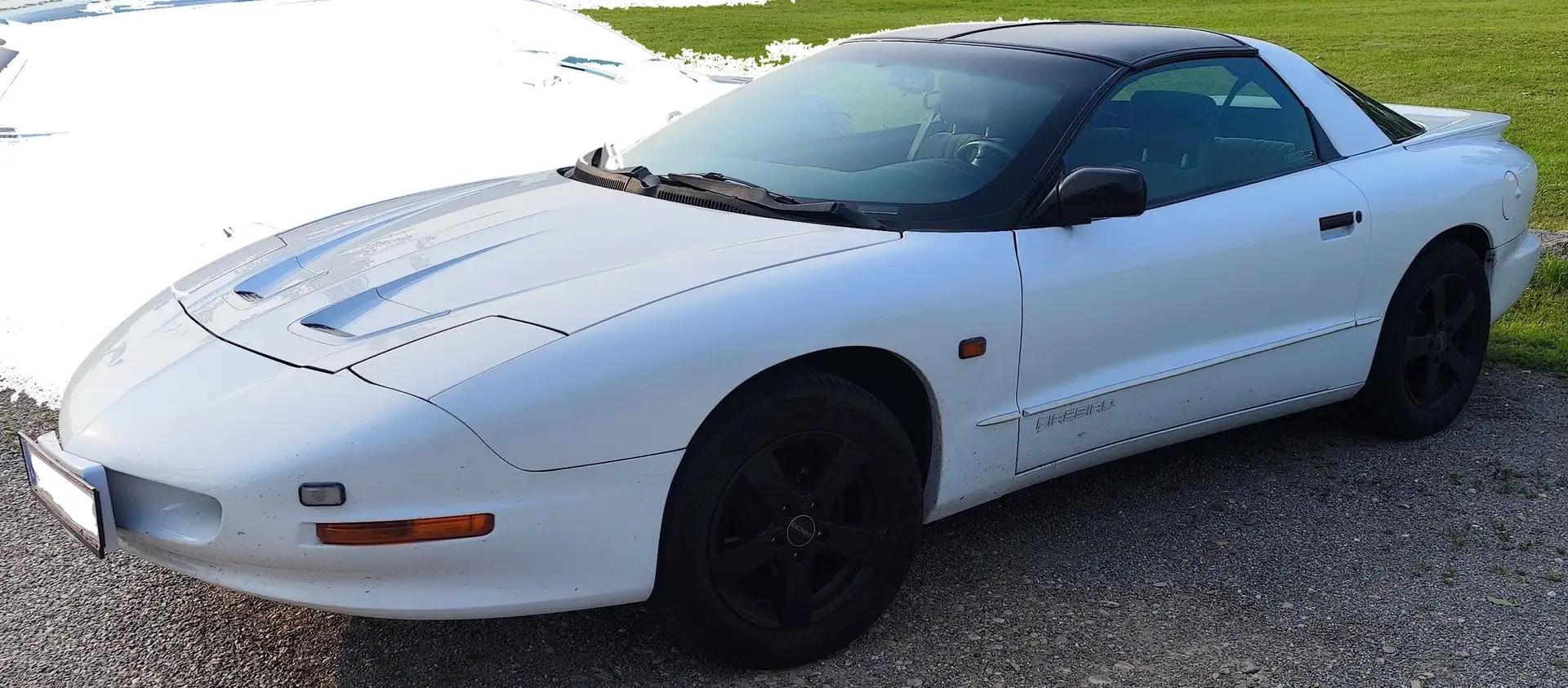 Pontiac Firebird Firebird Targa 3,4 Alb - 2