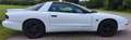 Pontiac Firebird Firebird Targa 3,4 Alb - thumbnail 8