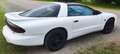 Pontiac Firebird Firebird Targa 3,4 Alb - thumbnail 4