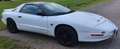 Pontiac Firebird Firebird Targa 3,4 Alb - thumbnail 3
