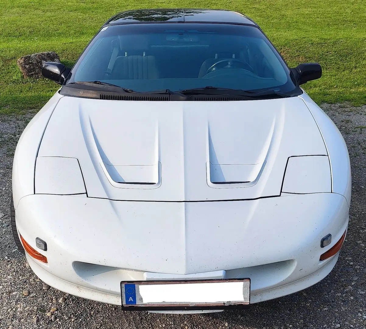 Pontiac Firebird Firebird Targa 3,4 Alb - 1