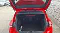 Ford Focus 2,0 EcoBlue SCR ST Rot - thumbnail 15