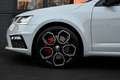 Skoda Octavia VRS - Nardo - Canton - ACC - LED - 19" - Ambilight Gris - thumbnail 8