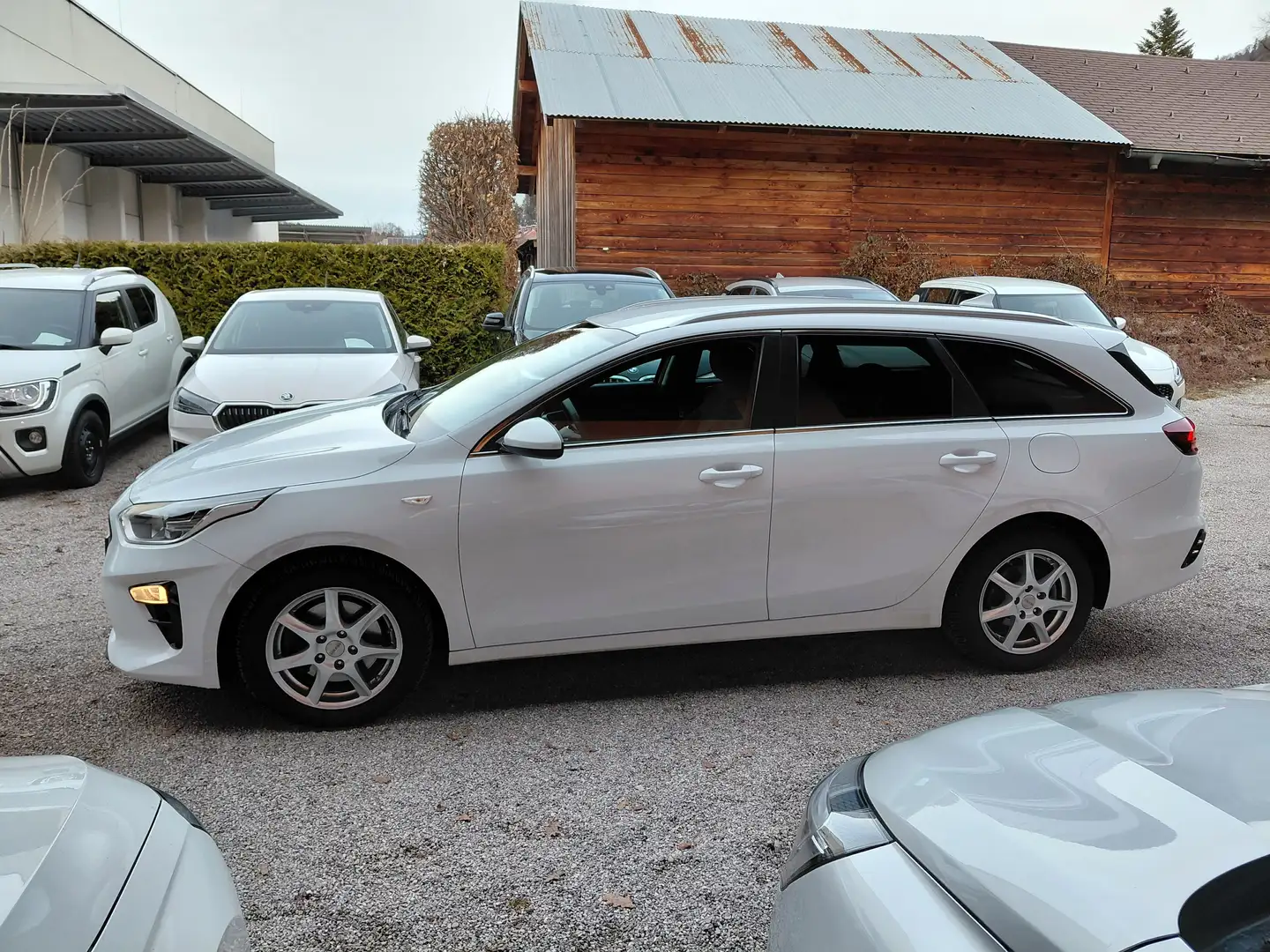 Kia Ceed SW / cee'd SW 1,6 CRDi SCR ISG Silber 48V Weiß - 2