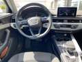 Audi A4 A4 Avant 2.0 tdi Business 150cv s-tronic Bianco - thumnbnail 5