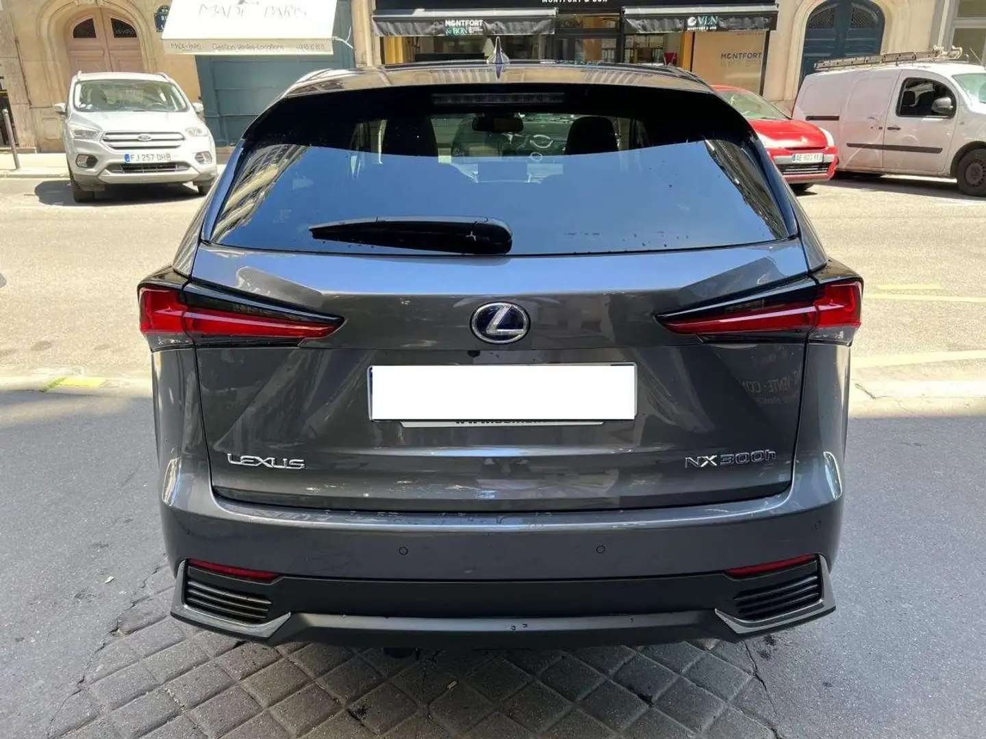Lexus NX 300h LUXE PLUS 2.5 VVT-i 16V 197 Hybrid FWD E-CVT 155 c Grijs - 2