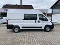 Fiat Ducato KASTENWAGEN 35 L2H2 140 MT Alb - thumbnail 2