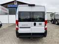 Fiat Ducato KASTENWAGEN 35 L2H2 140 MT Alb - thumbnail 6