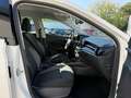 Skoda Fabia IV 1.0 MPI Active SmartLink PDC Shz LED Klima Weiß - thumbnail 19