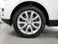 Land Rover Range Rover Sport 3.0TDV6 HSE Aut. Blanco - thumbnail 44