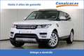 Land Rover Range Rover Sport 3.0TDV6 HSE Aut. Blanco - thumbnail 1