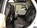 Land Rover Range Rover Sport 3.0TDV6 HSE Aut. Blanco - thumbnail 16