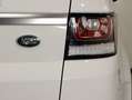 Land Rover Range Rover Sport 3.0TDV6 HSE Aut. Blanco - thumbnail 11