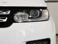 Land Rover Range Rover Sport 3.0TDV6 HSE Aut. Blanco - thumbnail 13
