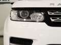 Land Rover Range Rover Sport 3.0TDV6 HSE Aut. Blanco - thumbnail 12