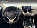 Lexus NX 300 300h Premium 2WD Weiß - thumbnail 12