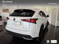 Lexus NX 300 300h Premium 2WD Weiß - thumbnail 2