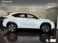 Lexus NX 300 300h Premium 2WD Weiß - thumbnail 3