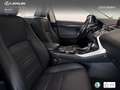 Lexus NX 300 300h Premium 2WD Weiß - thumbnail 23