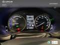 Lexus NX 300 300h Premium 2WD Weiß - thumbnail 19