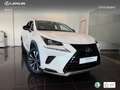 Lexus NX 300 300h Premium 2WD Weiß - thumbnail 13