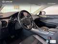 Lexus NX 300 300h Premium 2WD Weiß - thumbnail 22