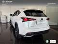 Lexus NX 300 300h Premium 2WD Weiß - thumbnail 15