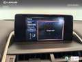 Lexus NX 300 300h Premium 2WD Weiß - thumbnail 20