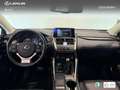 Lexus NX 300 300h Premium 2WD Weiß - thumbnail 8