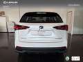 Lexus NX 300 300h Premium 2WD Weiß - thumbnail 5