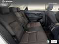 Lexus NX 300 300h Premium 2WD Weiß - thumbnail 7