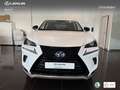 Lexus NX 300 300h Premium 2WD Weiß - thumbnail 4