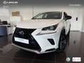 Lexus NX 300 300h Premium 2WD Weiß - thumbnail 1