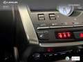 Lexus NX 300 300h Premium 2WD Weiß - thumbnail 21