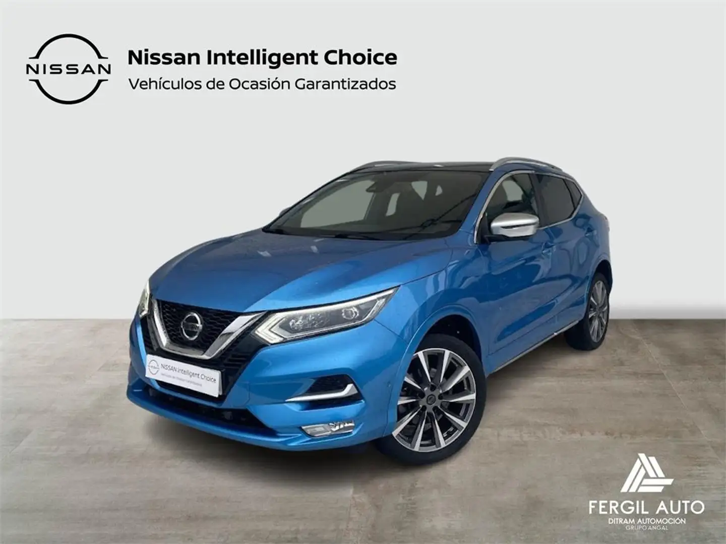 Nissan Qashqai dCi 150CV (110kW) TEKNA+ - 1