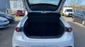 Mazda 3 2024 2.0 e-SKYACTIV-G MHEV 122CV 6MT FWD EXCLUSIVE Weiß - thumbnail 9