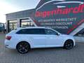Skoda Superb 2.0 TDI Combi Premium Edition LED KAMERA Weiß - thumbnail 16