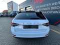 Skoda Superb 2.0 TDI Combi Premium Edition LED KAMERA Weiß - thumbnail 8
