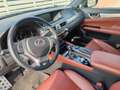 Lexus GS 300 300h 2.5 F-Sport cvt Grau - thumbnail 6