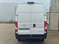 Opel Movano GKa L4H3 Edition Klima Rückfahrkamera White - thumbnail 8