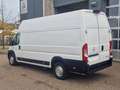 Opel Movano GKa L4H3 Edition Klima Rückfahrkamera White - thumbnail 4