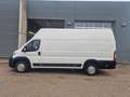 Opel Movano GKa L4H3 Edition Klima Rückfahrkamera White - thumbnail 2