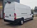 Opel Movano GKa L4H3 Edition Klima Rückfahrkamera White - thumbnail 5