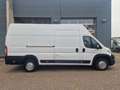 Opel Movano GKa L4H3 Edition Klima Rückfahrkamera White - thumbnail 3