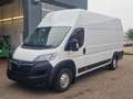 Opel Movano GKa L4H3 Edition Klima Rückfahrkamera White - thumbnail 1