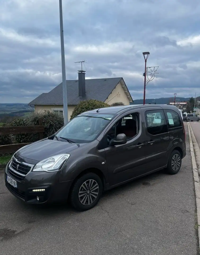 Peugeot Partner 1.6 blue-hdi active - 2