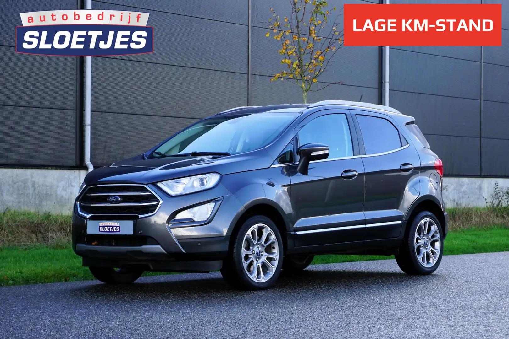 Ford EcoSport 1.0 EcoBoost Titanium 125 pk |B&O premium geluid | Gris - 1